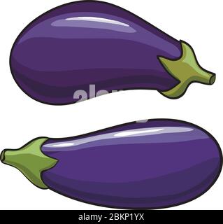 Vector. Aubergine. Eggplant on the white background Stock Vector