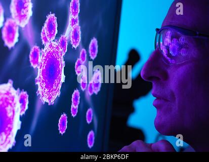 Scientist viewing a image of virus using a electron microscope in the laboratory. Stock Photo