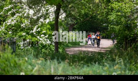 Merton, London, UK. 5 May 2020. Sunshine after a hazy start in London with local people maintaining social distancing while taking daily exercise through leafy pathways in Morden Hall Park. Credit: Malcolm Park/Alamy Live News. Stock Photo