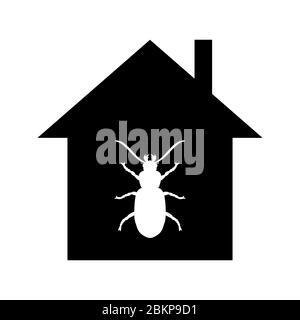 House attacked by beetle, minimalist flat vector illustration icon, symbol for insect damage Stock Vector