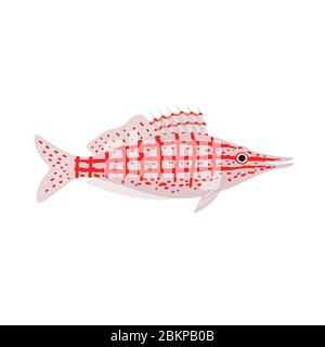 Longnose hawkfish. Oxycirrhites typus. Marine fish. Vector illustration Stock Vector