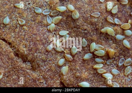 Golden brown bread crust close up with sesame seeds Stock Photo