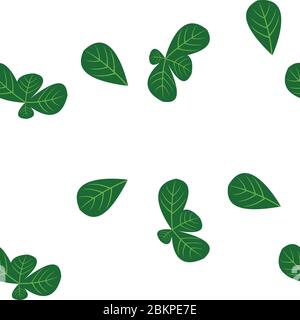 basil leaves seamless pattern, clean flat design design izolated on white background Stock Vector