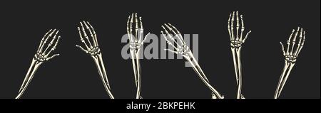 Bone hands on black background. Human arms. Skeletons climb up from the graves concept. Drawn engraved monochrome vintage sketch. Vector illustration Stock Vector