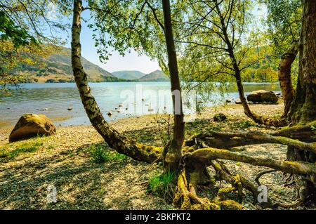 Springtime on the shores of Ullswater in the Lake District Stock Photo
