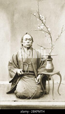 [ 1860s Japan - Japanese Flower Arrangement ] —   A man in kimono and traditional hairstyle practicing Ikebana flower arrangement, 1860s-1870s.  19th century vintage albumen photograph. Stock Photo