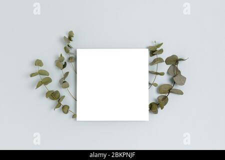 Frame made of eucalyptus on a blue pastel background. Paper card mockup. Spring concept with copy space. Stock Photo