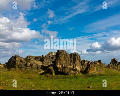 Igneous rocks at Beacon Hill Country Park near Loughborough in Leicestershire England UK Stock Photo