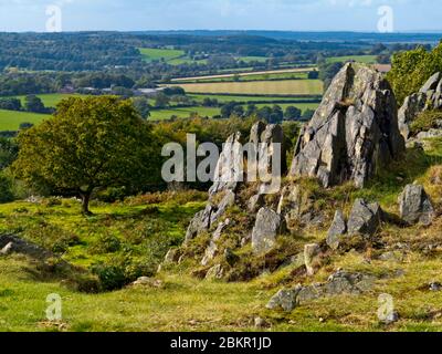 Igneous rocks at Beacon Hill Country Park near Loughborough in Leicestershire England UK Stock Photo