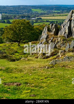 Igneous rocks at Beacon Hill Country Park near Loughborough in Leicestershire England UK Stock Photo