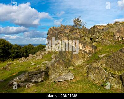 Igneous rocks at Beacon Hill Country Park near Loughborough in Leicestershire England UK Stock Photo