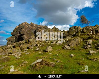 Igneous rocks at Beacon Hill Country Park near Loughborough in ...