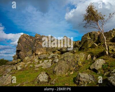 Igneous rocks at Beacon Hill a country park and Site of Special Scientific Interest near Loughborough Leicestershire England UK. Stock Photo