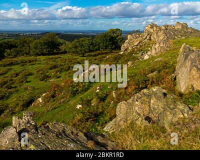 Igneous rocks at Beacon Hill a country park and Site of Special Scientific Interest near Loughborough Leicestershire England UK. Stock Photo