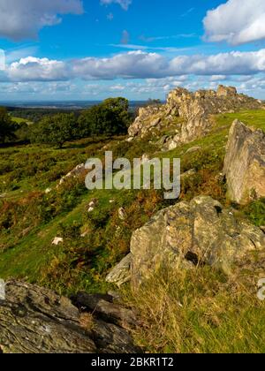 Igneous rocks at Beacon Hill a country park and Site of Special Scientific Interest near Loughborough Leicestershire England UK. Stock Photo