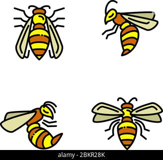 Wasp icons set. Outline set of wasp vector icons for web design isolated on white background Stock Vector