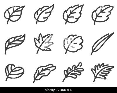 Leaf line vector icon set. Flat design. Stock Vector