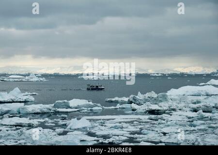 Blue fishing boat surrounded by seagulls sailing in iceberg filled water Stock Photo