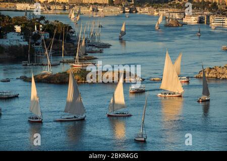 Egypt, Upper Egypt, Nile valley, Aswan, fellucas and touristic boats on the Nile Stock Photo