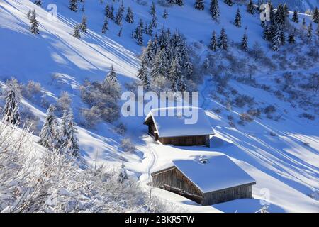 France, Haute Savoie, Samoens, Joux plane (1700 m), chalets on the edge of snowshoe and cross country ski trails Stock Photo