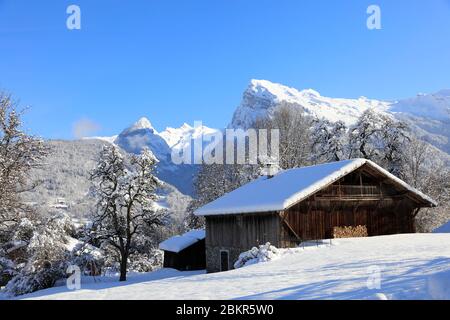 France, Haute Savoie, Samoens, chalets in the snow Stock Photo