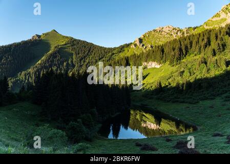 France, Haute-Savoie (74), Massif du Chablais, Vall?e d'Aulps, Saint-Jean-d'Aulps, Lake Damoz des Moulins, Stock Photo