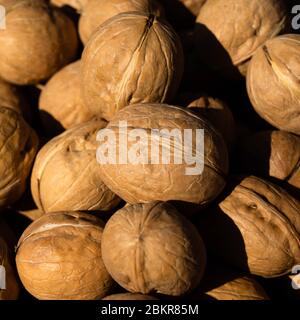 Inshell walnuts. Lots of walnuts in bright sunlight Stock Photo