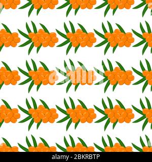 Theme big colored seamless sea buckthorn, bright berry pattern for seal. Berry pattern consisting of beautiful seamless repeat sea buckthorn. Simple c Stock Vector