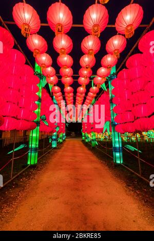 The Zigong Lantern Festival in Zigong, Sichuan, China. Lanterns ...