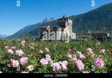 Italy, Aosta Valley, Sarriod de la Tour castle surrounded by vineyard Stock Photo