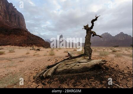 Area around the village Al-Disah, Tabuk Region, Saudi Arabia Stock Photo