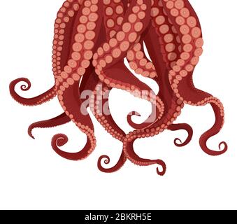 Red octopus or kraken tentacles with suckers realistic set isolated at ...