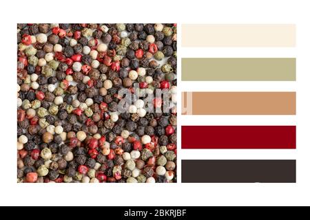 Mix of pepper seeds in a colour palette, with complimentary colour swatches Stock Photo