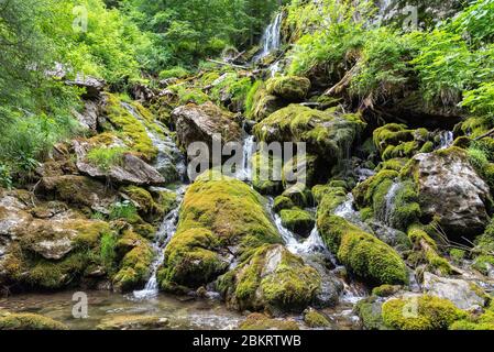 France, Haute Savoie, massif du Chablais, val d'Abondance, the path going up into the forest towards Cubour? is bordered by a small stream and small waterfalls Stock Photo