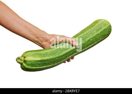Fresh green zucchini in a female hand. Healthy vegan food. Isolated. Close-up. Stock Photo