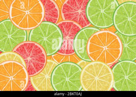 many slices of citrus lime orange lemon grapefruit Stock Vector