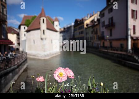 France, Haute Savoie, Annecy, the old town on the banks of the Thiou, the prison of the Palais de l'Isle and the quays of Isle Stock Photo