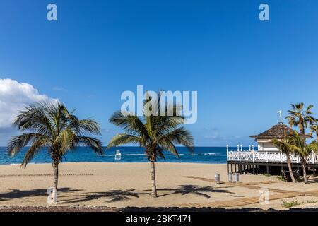 Palm trees and closed beach bar on Playa del Duque beach during the covid 19 lockdown in the tourist resort area of Costa Adeje, Tenerife, Canary Isla Stock Photo