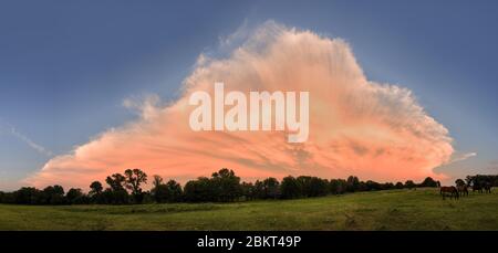 Large thunderstorm cloud dissipating over a rural landscape, with last light of setting sun coloring it pink and orange Stock Photo
