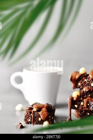 Stack of a brownie pieces with hazelnut, palm and cup on a grey table with gray background. Stock Photo
