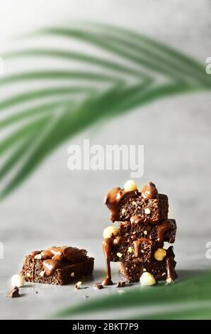 Stack of a brownie pieces with hazelnut on a grey table with gray background and palm leaf. Stock Photo