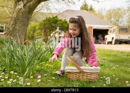 Young girl on a easter egg hunt Stock Photo