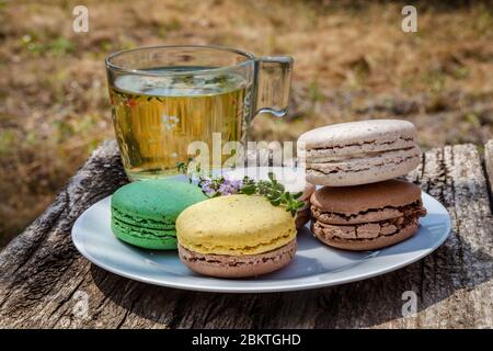 Colorful macaroons and a cup of green tea with a sprig of mint on a wooden table in the summer garden Stock Photo