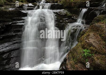 Small waterfall at the confluence of Nant Bwrefwr and its last tribuary stream. Stock Photo