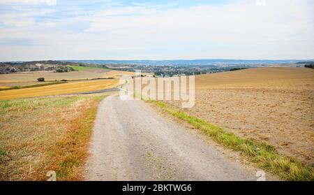 Dirt road in the middle of a mown wheat field, large areas of stubble visible. Stock Photo