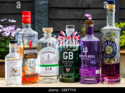 A Selection of Popular Gin Brands from the United Kingdom, including Sipsmith, Beefeater, Limehouse, Williams GB, Whitley Neil and Wildcat Bramble gin Stock Photo