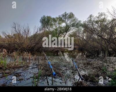 Fishing in the water channel in the autumn evening. Fishing rods near the water. Stock Photo