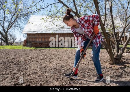 Pretty agronomist in plaid shirt and orange work gloves digs a garden Stock Photo