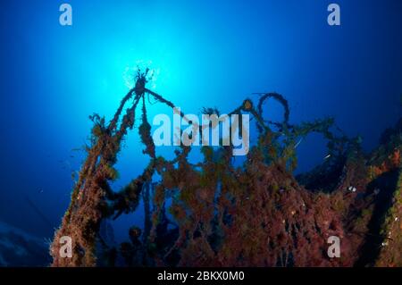 Entangled fishing net covered with algae in Hermanos Florin shipwreck in Ses Salines Natural Park (Formentera, Pityuses, Mediterranean sea, Spain) Stock Photo