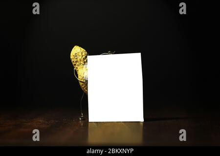Peanut holding a blank card for advertisement in the dark back ground Stock Photo